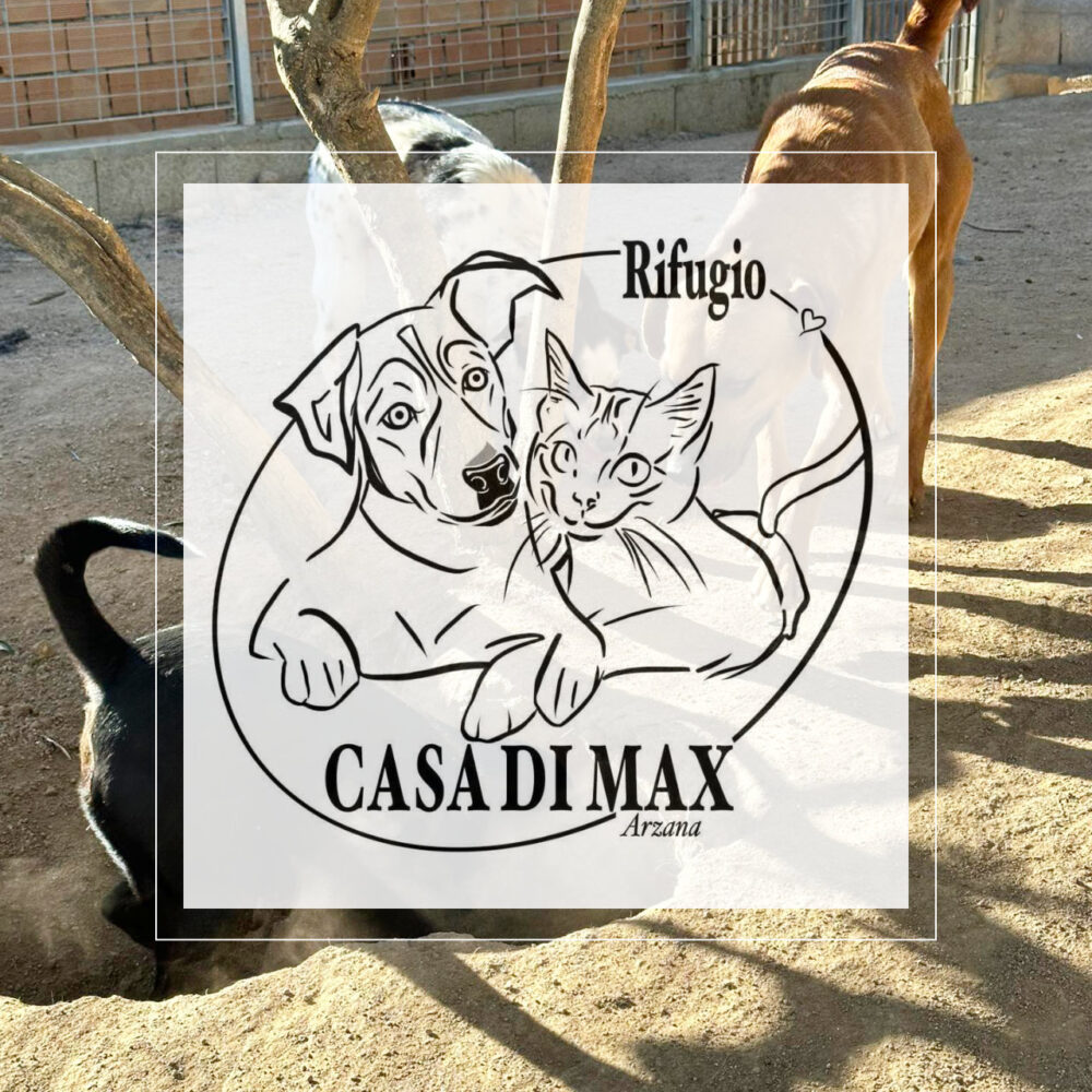 KahuCani e V - Tierheim Casa di Max - Sardinien
